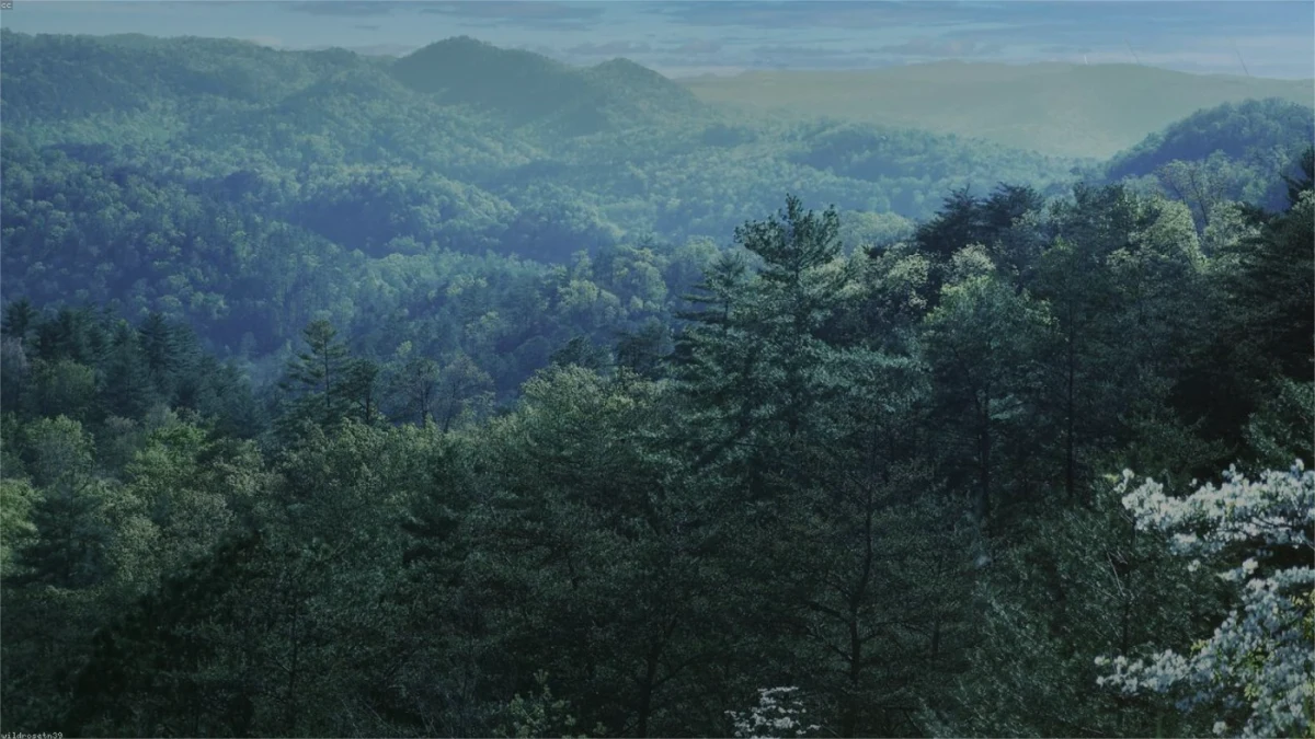 How to Sell Inherited Land in Tennessee Tennessee land guide