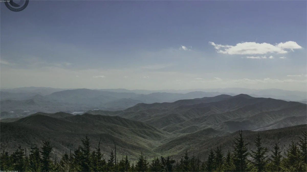 How to Sell Land Fast in Tennessee Tennessee land guide