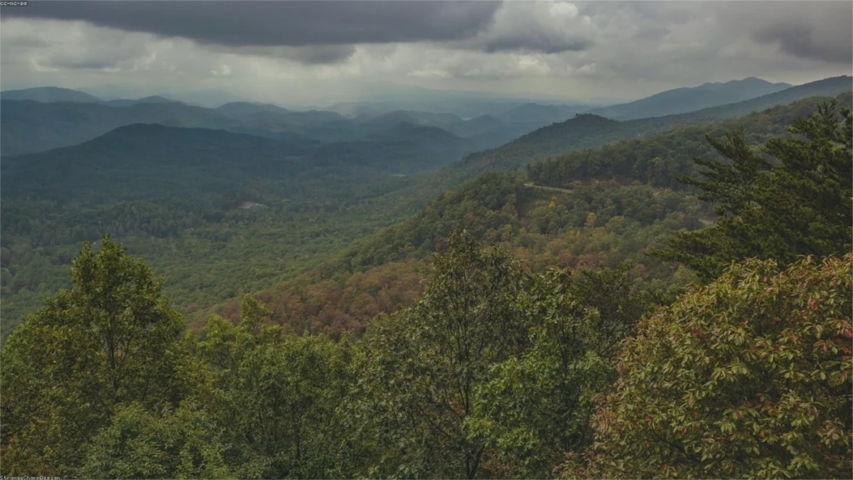 How Tennessee Land Buyers Work Tennessee land guide