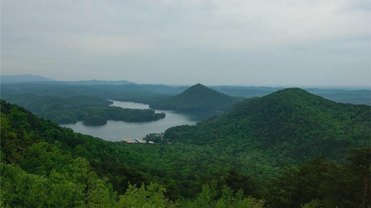 How to Sell Inherited Land in Tennessee rural Tennessee parcel review