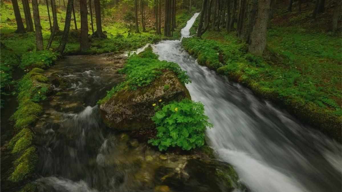 How to Sell Inherited Land in Tennessee Tennessee land closing preparation