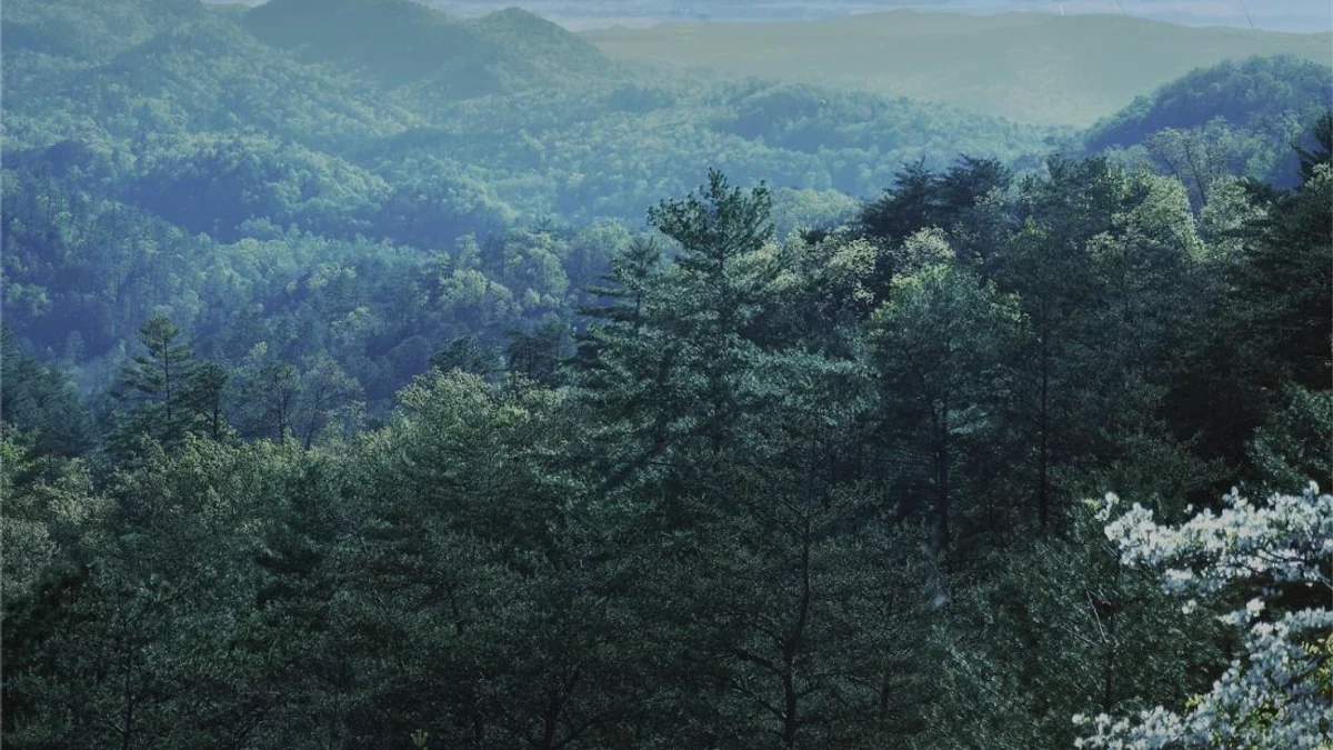 Selling Land to a Developer in Tennessee rural Tennessee parcel review
