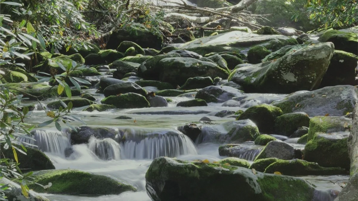 Tax on Selling Land in Tennessee Tennessee land closing preparation
